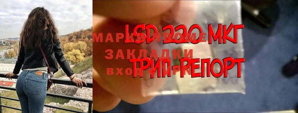 ГАЛЛЮЦИНОГЕННЫЕ ГРИБЫ Белокуриха