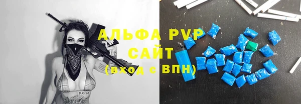 дживик Бородино
