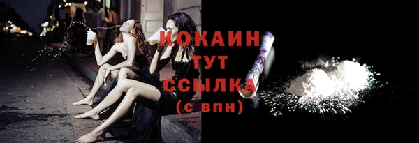ПСИЛОЦИБИНОВЫЕ ГРИБЫ Богданович