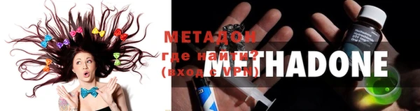 ПСИЛОЦИБИНОВЫЕ ГРИБЫ Богданович