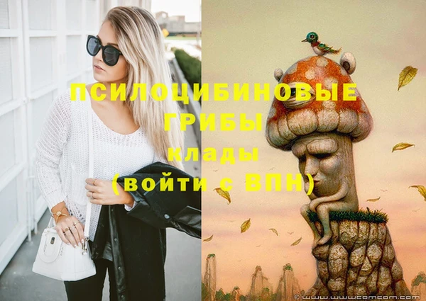 ПСИЛОЦИБИНОВЫЕ ГРИБЫ Богданович