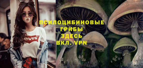 крисы Богородск