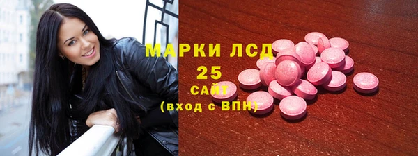 ПСИЛОЦИБИНОВЫЕ ГРИБЫ Богданович