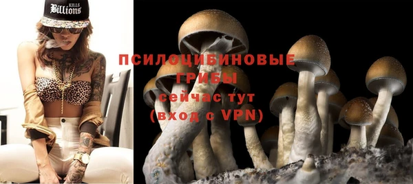 ПСИЛОЦИБИНОВЫЕ ГРИБЫ Богданович