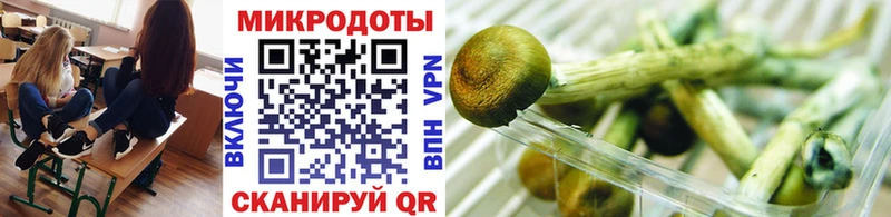 Галлюциногенные грибы MAGIC MUSHROOMS  Цивильск 