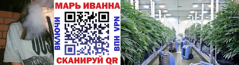 Бошки Шишки Bruce Banner  Цивильск 